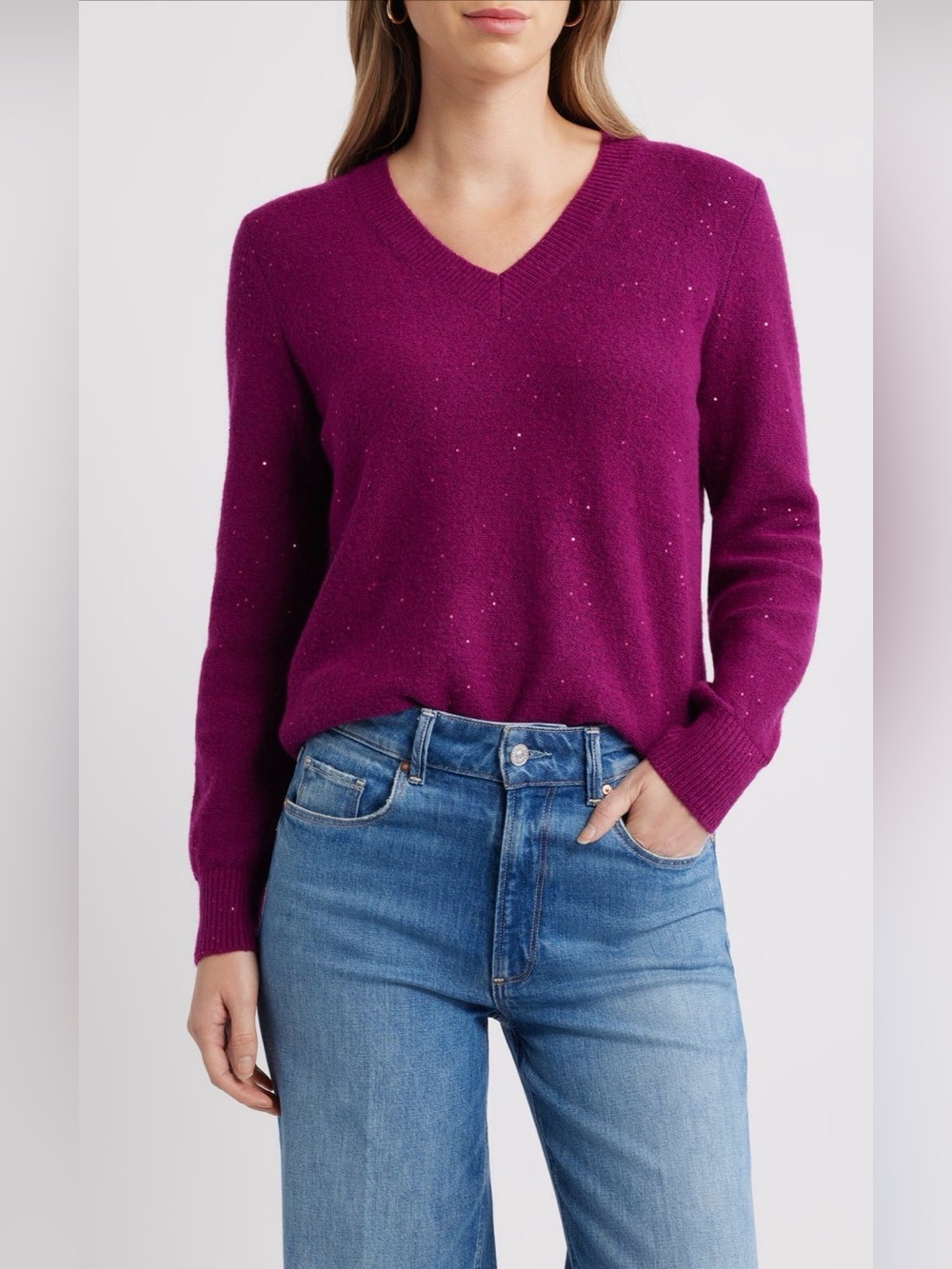 NEW…Caslon Sequin V-Neck Sweater